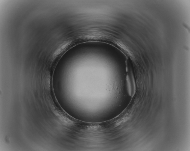 X0000096450446200801311454