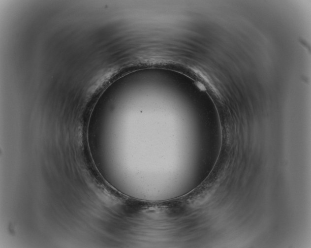 X0000096450447200801311454