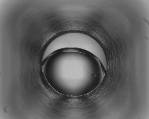 X0000096450448200801311454