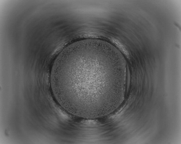 X0000096450449200801311454