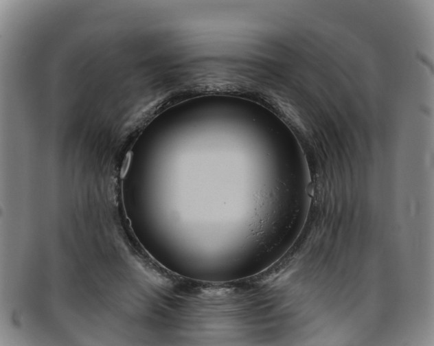 X0000096450450200801311454