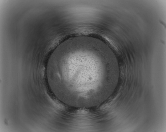 X0000096450451200801311454