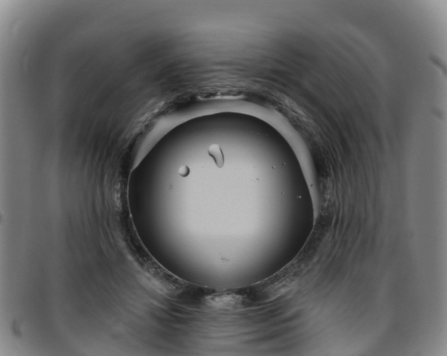 X0000096450452200801311454