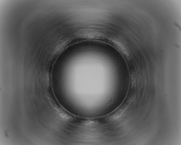 X0000096450453200801311454