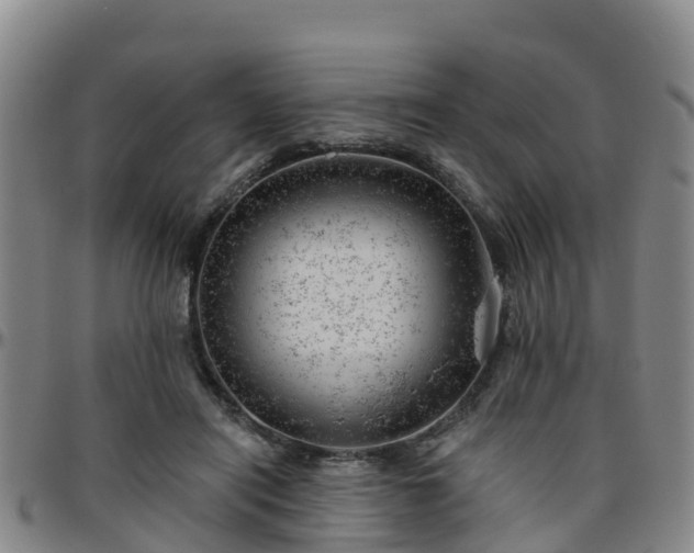 X0000096450454200801311454