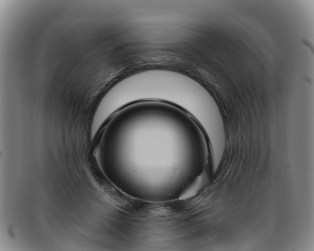 X0000096450456200801311454