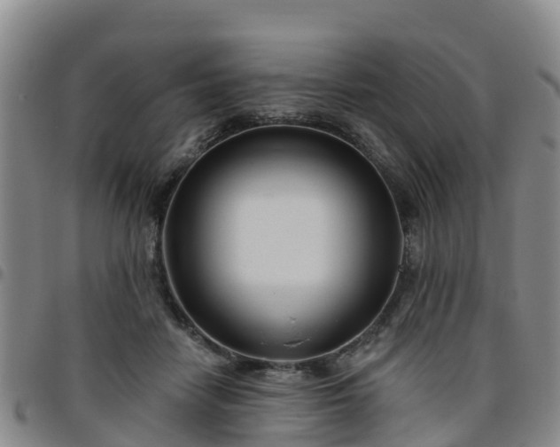 X0000096450458200801311454