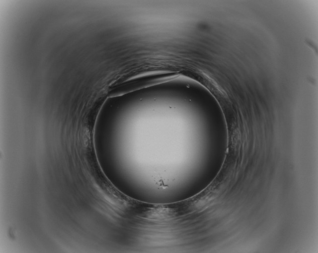 X0000096450459200801311454