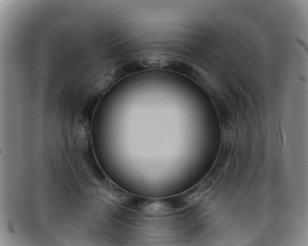 X0000096450460200801311454