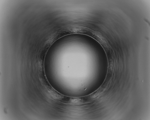 X0000096450461200801311454