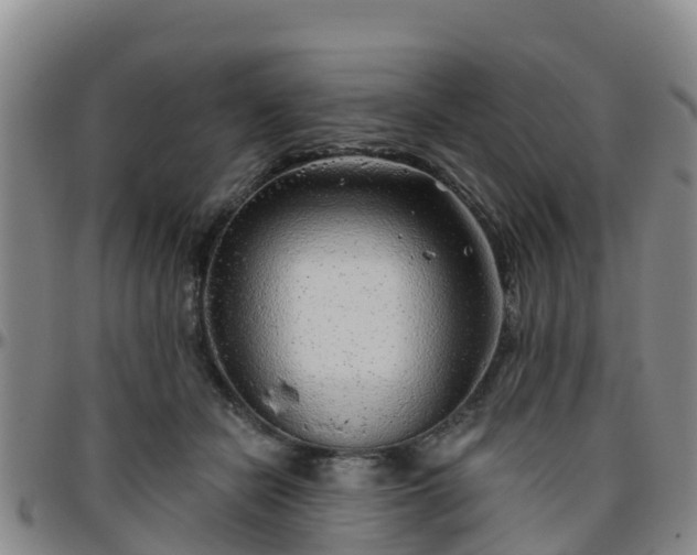 X0000096450462200801311454