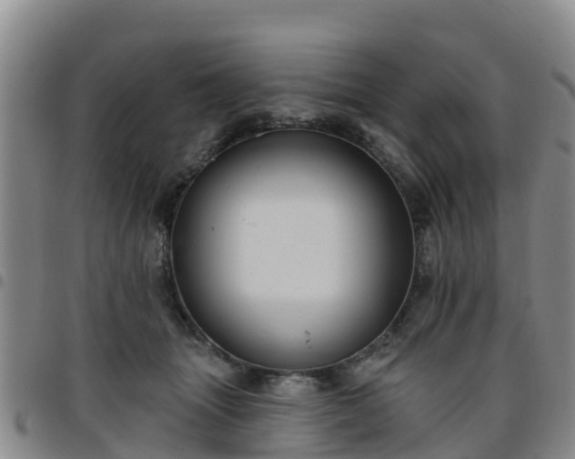 X0000096450463200801311454