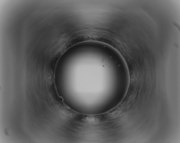 X0000096450464200801311454