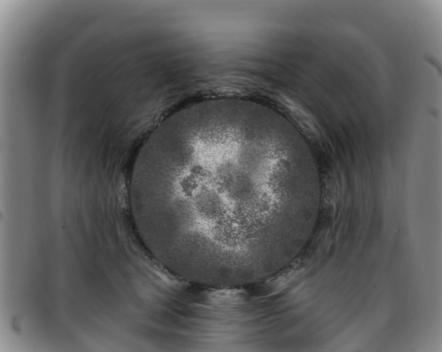 X0000096450465200801311454