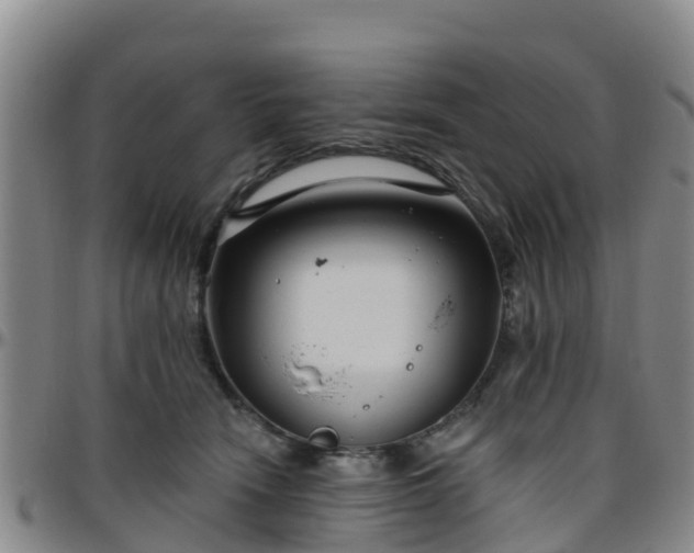 X0000096450466200801311454