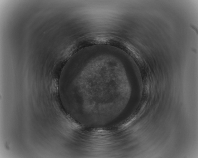 X0000096450467200801311454