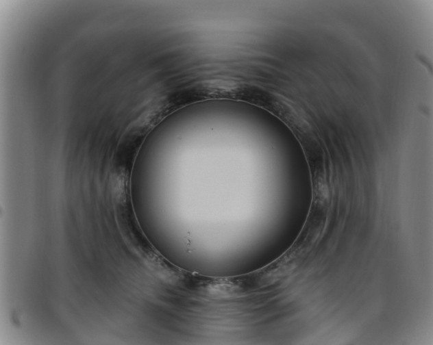 X0000096450468200801311454