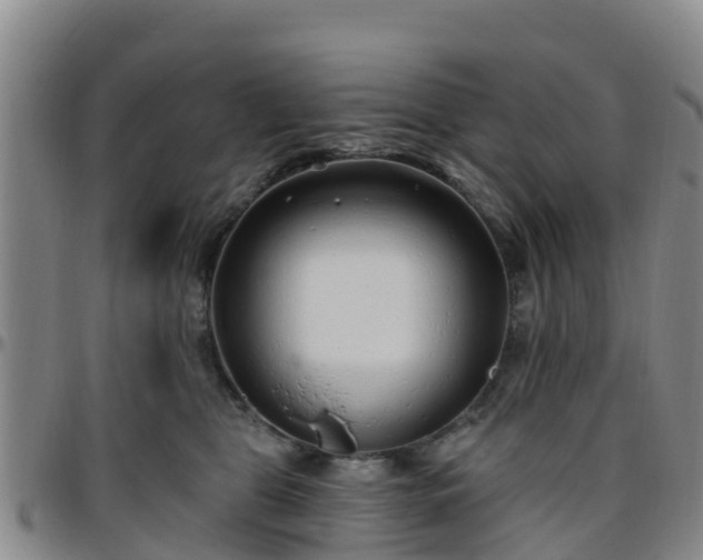 X0000096450469200801311454