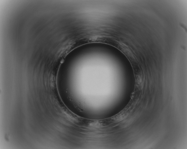 X0000096450470200801311454