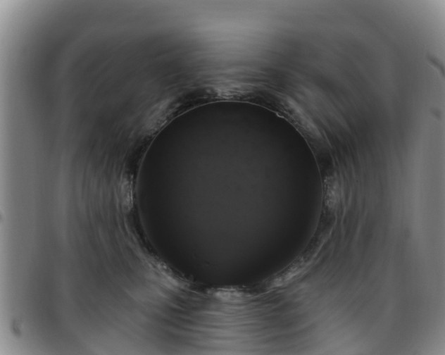 X0000096450471200801311454