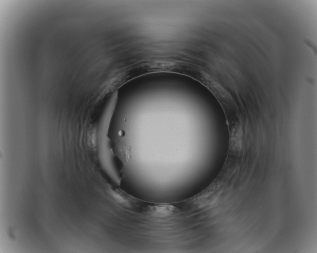 X0000096450474200801311454