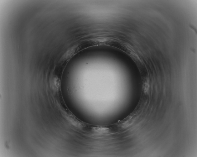 X0000096450476200801311455