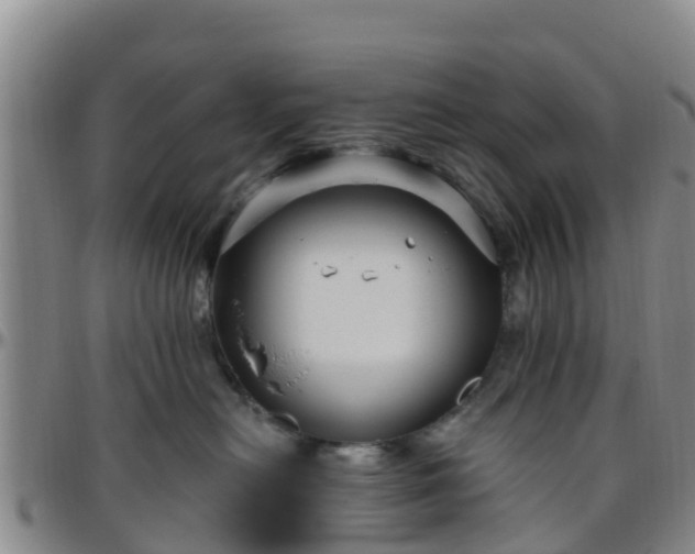 X0000096450478200801311455