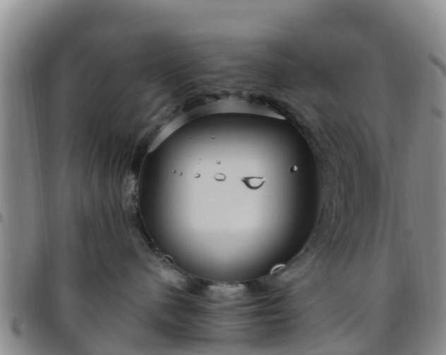 X0000096450480200801311455