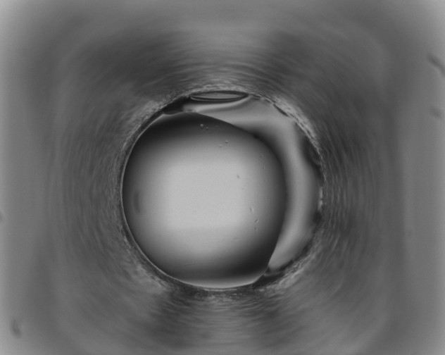 X0000096450481200801311454