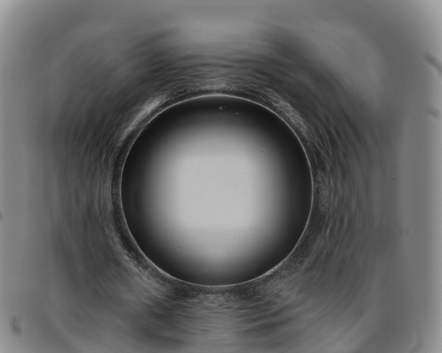 X0000096450482200801311454