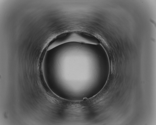 X0000096450483200801311454