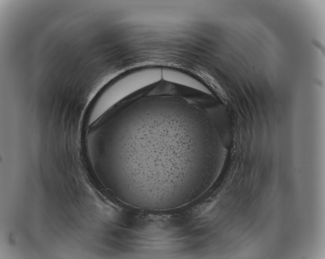 X0000096450484200801311454