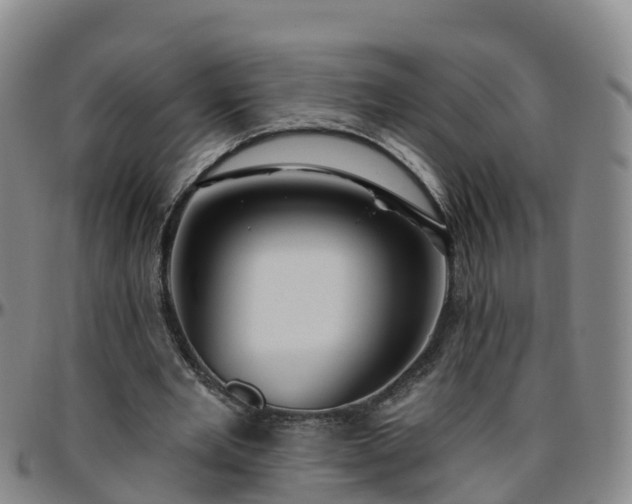 X0000096450485200801311454