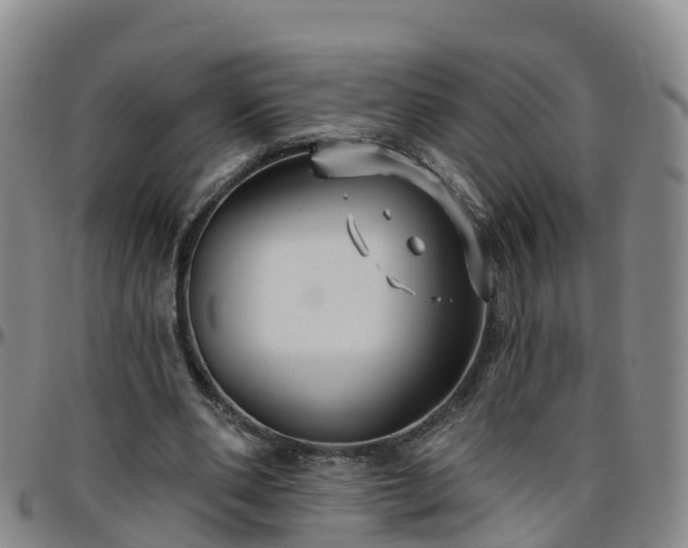 X0000096450486200801311454