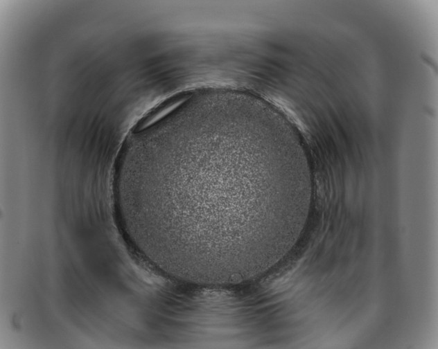 X0000096450487200801311454