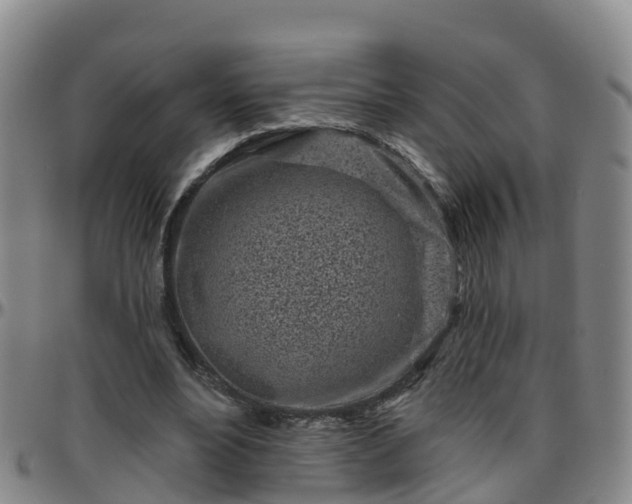 X0000096450488200801311454