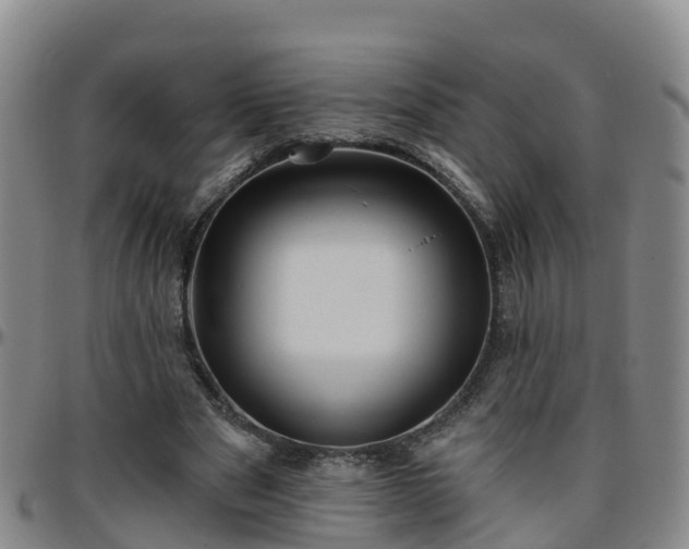 X0000096450489200801311454