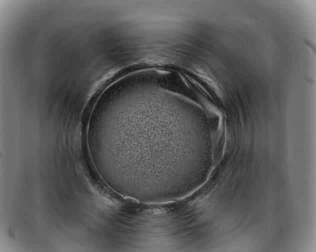 X0000096450492200801311454