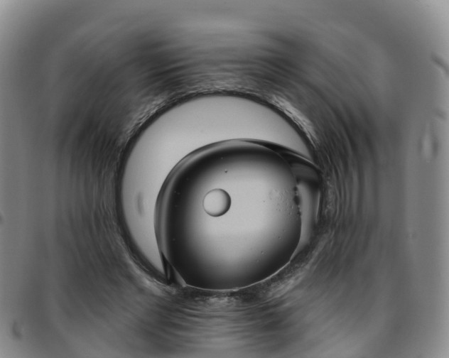 X0000096450493200801311454