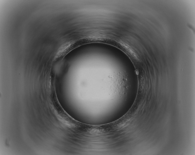 X0000096450494200801311454