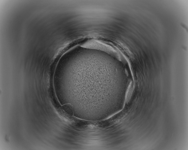 X0000096450496200801311454