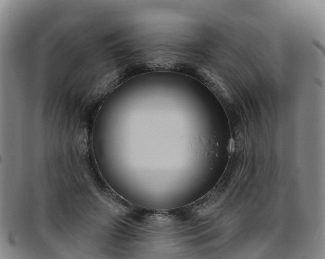 X0000096450498200801311454