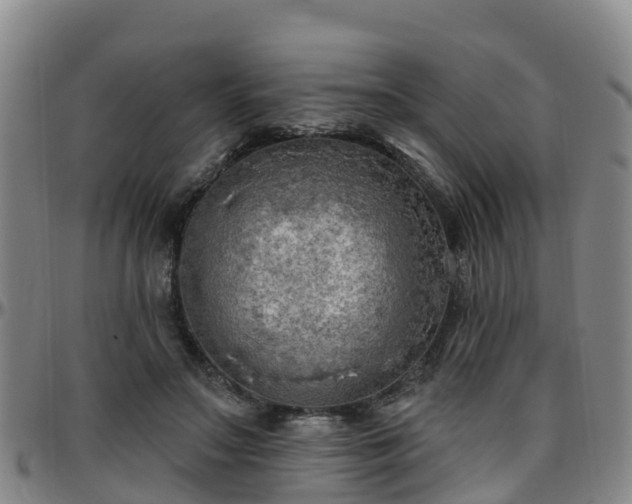 X0000096450499200801311454