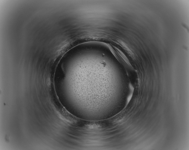 X0000096450500200801311454