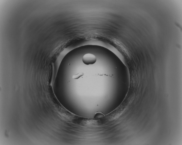 X0000096450501200801311454