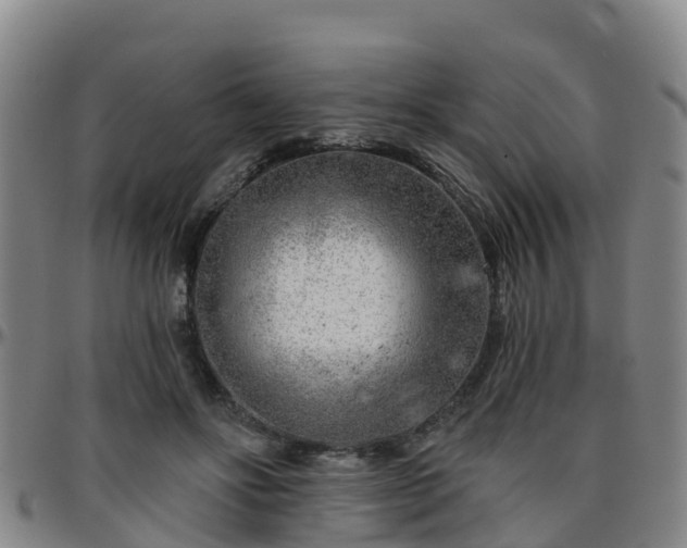 X0000096450502200801311454