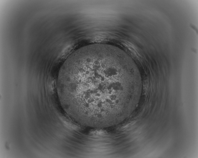 X0000096450503200801311454