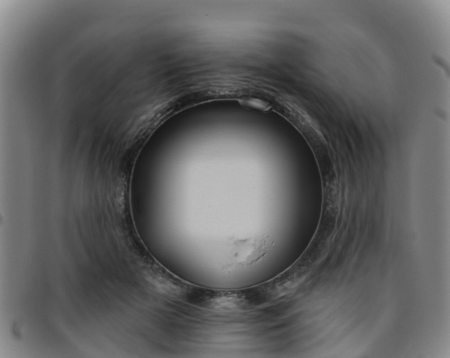 X0000096450505200801311454