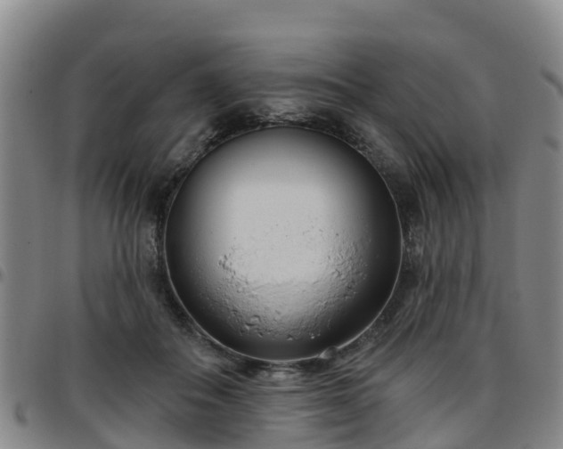 X0000096450506200801311454