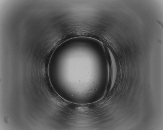 X0000096450508200801311454